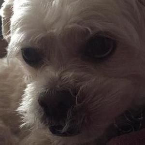 Meet your Posher, Shawna